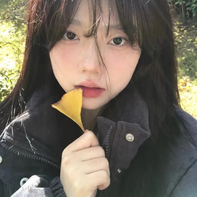 侠女十三妹
